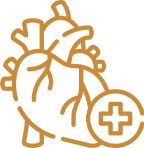 Vascular Surgery